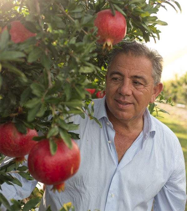 Natalino Gallo, presidente di OP Agricor